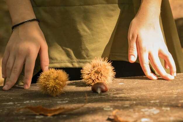 Оттенки Chestnut brown: вариации и отличия