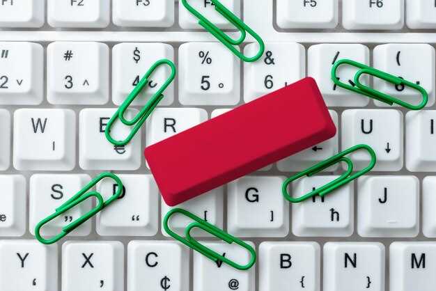 Практические рекомендации по переводу и применению термина Storage space на русский язык