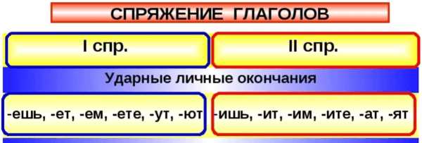 Ошибки при определении первого спряжения: как их избежать