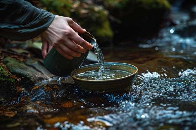 Определение и описание ключевых характеристик источников воды