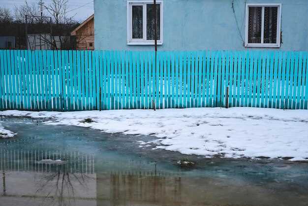 Использование в литературе и поэтических описаниях погоды