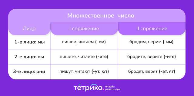 Сравнение: обычные и возвратные глаголы