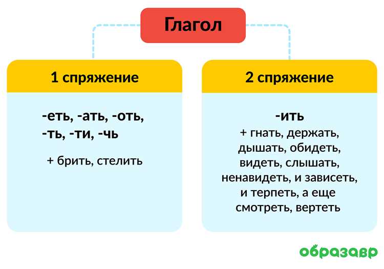 Сравнение глаголов 1 и 2 спряжения на примере 