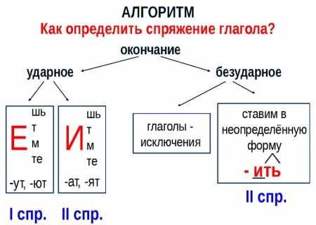 Общие характеристики глагола 